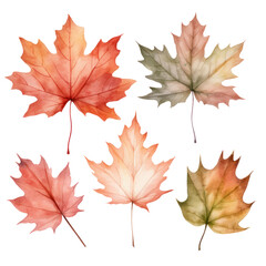 Fototapeta premium Collection of watercolor illustration autumn leaves isolated on background. PNG transparent background.