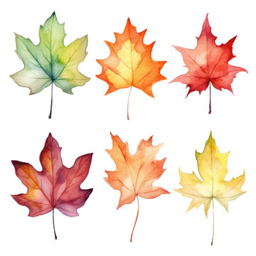 Collection of watercolor illustration autumn leaves isolated on background. PNG transparent background.