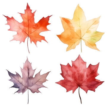 Collection of watercolor illustration autumn leaves isolated on background. PNG transparent background.