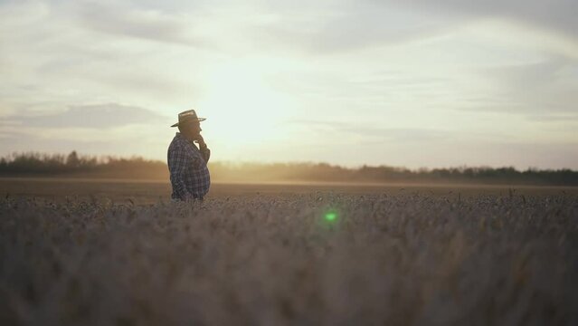 Senior man farmer in straw hat standing on wheat field looking on distance at sunset. Farmland lifestyle, enjoying living on farm, in village. Agribusiness, food production, industrial agriculture.