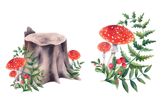 Watercolor stump and fly agaric mushrooms. A set of children's illustrations on a white background. For designers, clipart, sticker printing.