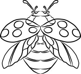 Set of Bug vector illustration for coloring book or clipart isolated on white background.Elements for printing on sticker or children book .Hand drawn vector.