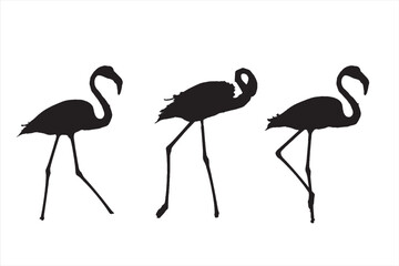 Flamingos on the walk. Vector image. White background.