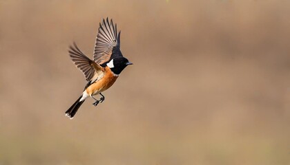 red billed hornbill generated Ai