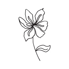 Tropical flower in Doodle style. Hand drawn flower on a white background.