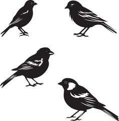 Black silhouette Set of Sparrow bird on white background