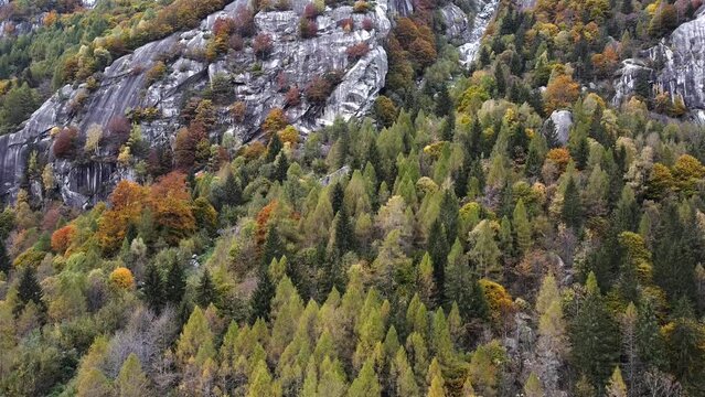 Drone on the forest and stones in Val di Mello, Italy