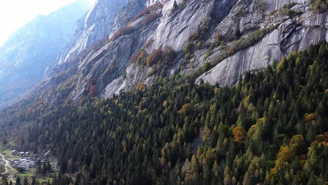 Drone on the forest in Val di Mello, Italy