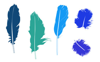 Animal feather blue illustration cut out white background set