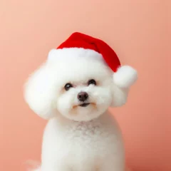 Papier Peint photo Lavable Bulldog français Dogs dressed like Christmas　クリスマスの格好をした犬