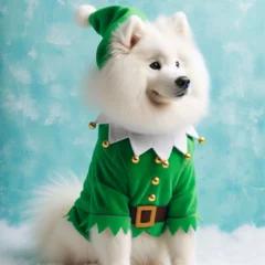 Foto op Canvas Dogs dressed like Christmas　クリスマスの格好をした犬 © Churin Art Works