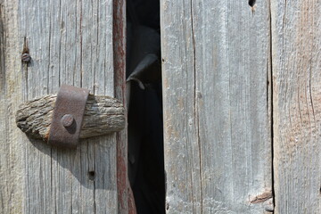 Unusual old wood, wooden boards with old peeling paint with an interesting textured structure with old rusty nails, ancient historical handles, wooden latches, latches and slits.