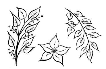 linear drawing, branches and flowers with lines. Watercolor drawing