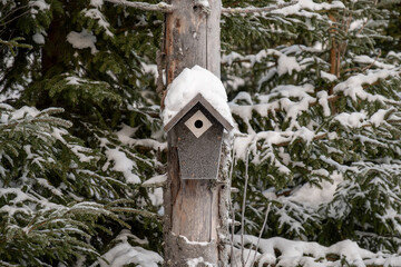 Frozen bird house with snow on top on a tree trunk in the forest in a cold environment