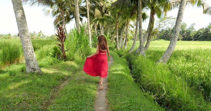 Beautiful countryside of Bali, happy woman run at palms alley in middle of rice fields, slow motion shot, follow camera. Long skirt of red dress fly when lady skipping, she turn back with smile