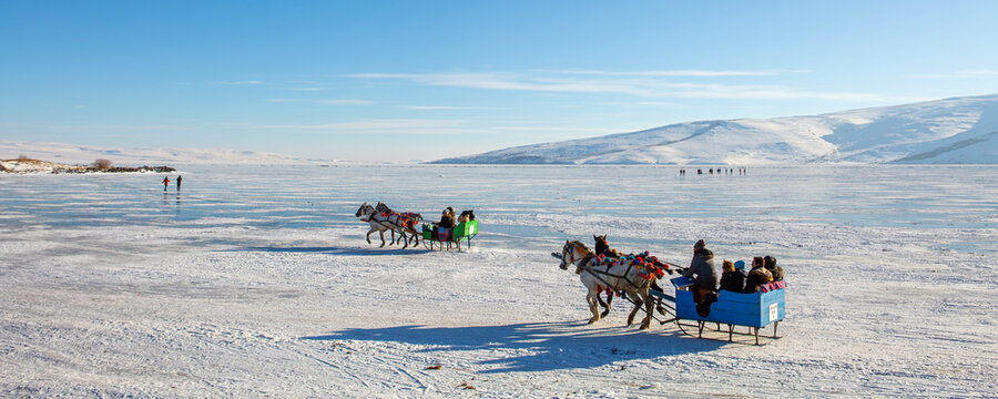 Sleigh pulled by a horse in lake frozen Cildir. Traditional Turkish winter fun. Cildir Lake , Kars , Turkey