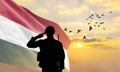 Silhouette of a soldier with the Hungary flag stands against the background of a sunset or sunrise....