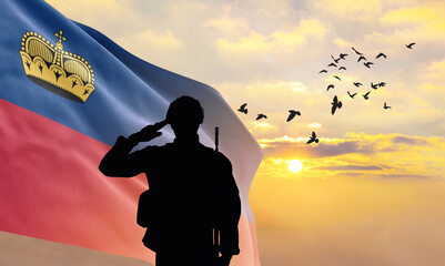 Silhouette of a soldier with the Liechtenstein flag stands against the background of a sunset or sunrise. Concept of national holidays. Commemoration Day. - obrazy, fototapety, plakaty