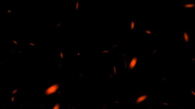 Flying hot embers from fire. Fire particles on black background.