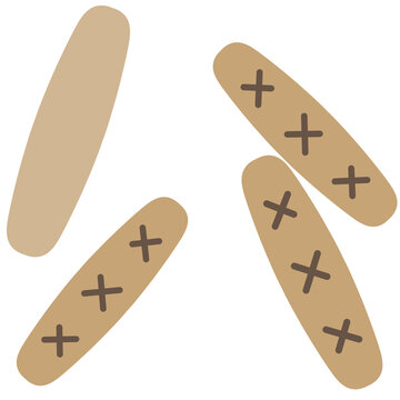 윷놀이 전통놀이