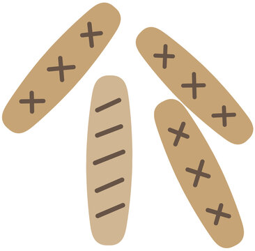 윷놀이 전통놀이