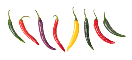 Cayenne peppers, colorful fresh chilies, in a row. Green, red, yellow and purple fruits of moderately hot chili peppers of the type Capsicum annuum. Isolated, from above, on white background. Photo.