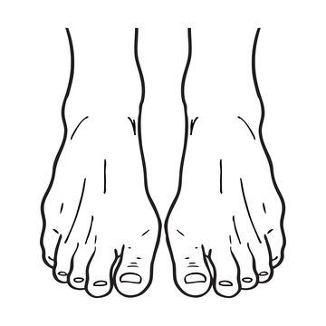 foot line vector illustration