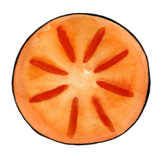 Orange circle with red stripes. Black outline. Persimmon fruit cut in half. View from above. Watercolor blur. Isolated on white background. Veins are visible. Stylized illustration.