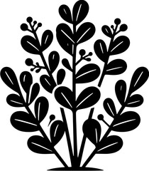 Escalloniaceae plant icon 10