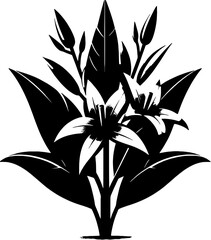 Erythroxylaceae plant icon 10