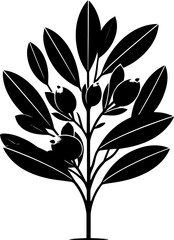 Elaeocarpaceae plant icon