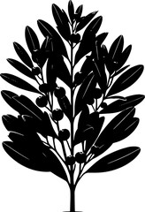 Elaeocarpaceae plant icon 4