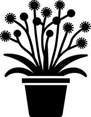 Ecdeiocoleaceae plant icon 5