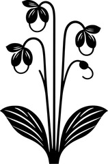 Drosophyllaceae plant icon 14