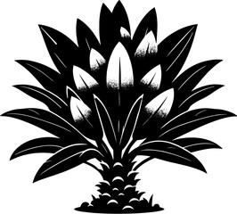 Doryanthaceae plant icon 12