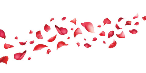 Watercolor red rose petals falling on white background. - obrazy, fototapety, plakaty