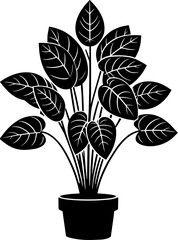 Dioscoreaceae plant icon 12