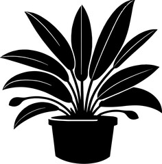 Degeneriaceae Plant icon 7