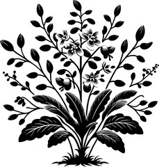 Daphniphyllaceae plant icon 1