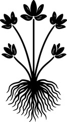 Cymodoceaceae plant icon 10