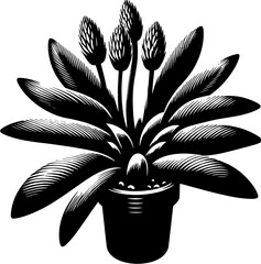 Cyclanthaceae plant icon 12
