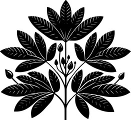 Cunoniaceae plant icon 1