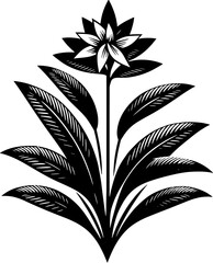 Crossosomataceae plant icon 1