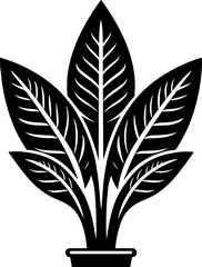 Costaceae plant icon 4