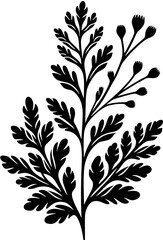 Corynocarpaceae plant icon 14
