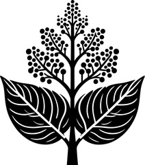 Connaraceae plant icon 3