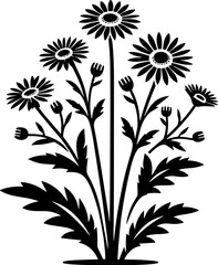 Compositae plant icon 12