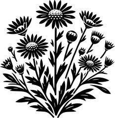 Compositae plant icon 7