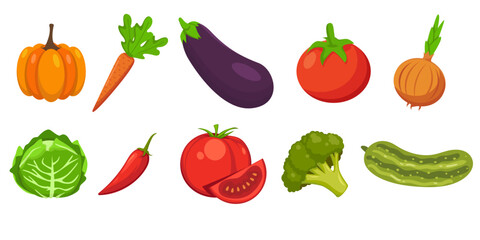 flat vegetable drawn illustration