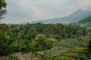Fototapeta na wymiar Expansive Vistas: Panoramic Beauty near Bandung, Indonesia